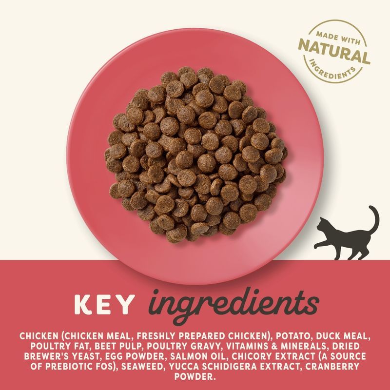 Applaws - Chicken with Duck - Adult - Dry Cat Food