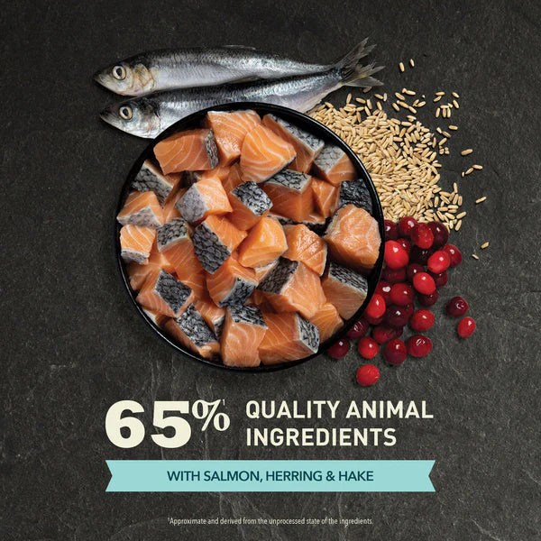 ACANA - Bountiful Catch Salmon with Whole Herring - Cat Dry Food