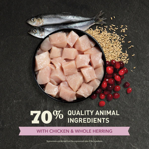 ACANA - First Feast Chicken With Herring - Kitten - Cat Dry Food