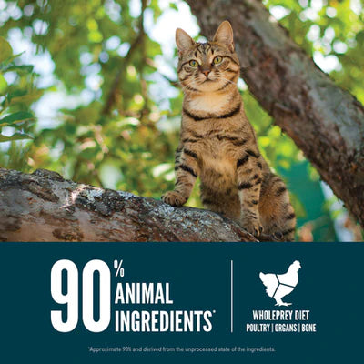 Orijen - Guardian 8 - Nutrient-Rich - Cat Dry Food