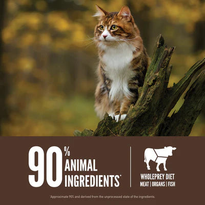 Orijen - Regional Red - Cat Dry Food