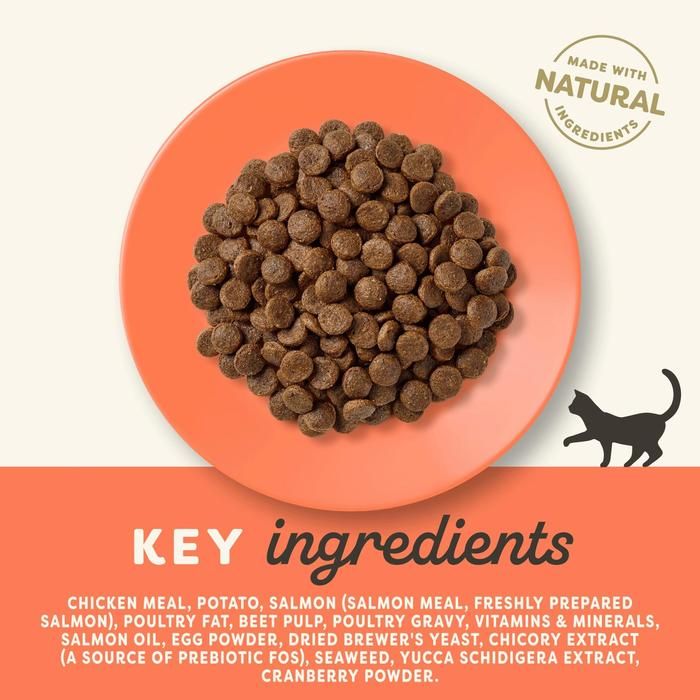 Applaws - Chicken with Salmon - Adult - Dry Cat Food