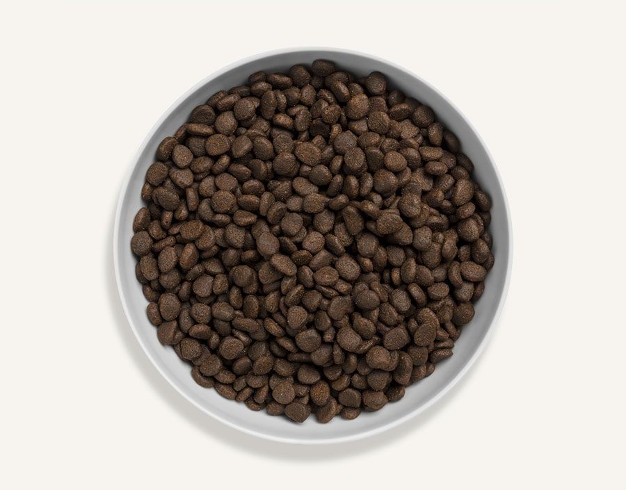 Canagan - Scottish Salmon - Dry Cat Food