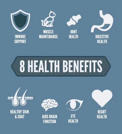 Orijen - Guardian 8 - Nutrient-Rich - Cat Dry Food